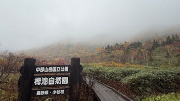 つがいけマウンテンリゾートに投稿された画像（2025/11/25）