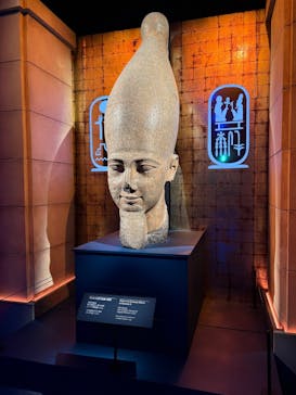 ACN ラムセス大王展 ファラオたちの黄金に投稿された画像（2025/11/25）