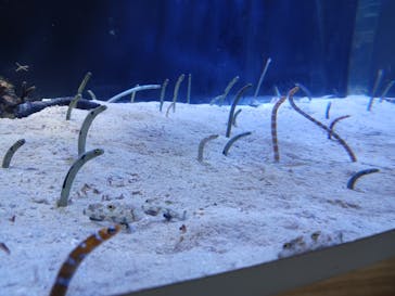 名古屋港水族館に投稿された画像（2025/11/25）