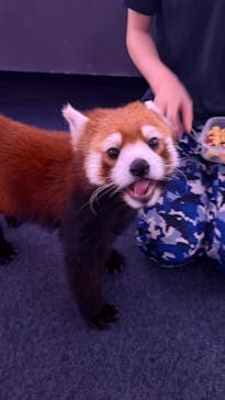 横浜・八景島シーパラダイスに投稿された画像（2025/11/25）