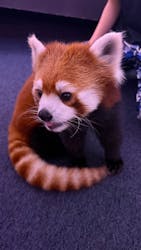 横浜・八景島シーパラダイスに投稿された画像（2025/11/25）