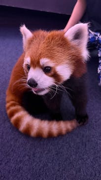 横浜・八景島シーパラダイスに投稿された画像（2025/11/25）