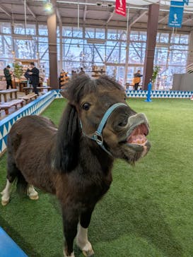 ノーザンホースパークに投稿された画像（2025/11/25）