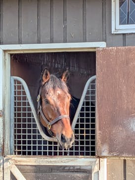 ノーザンホースパークに投稿された画像（2025/11/25）