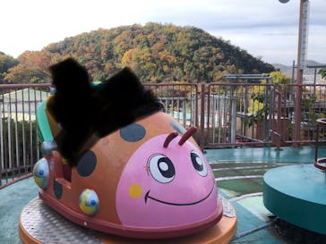 日本モンキーパークに投稿された画像（2025/11/25）