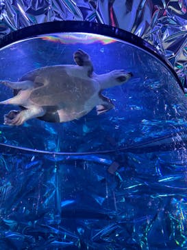 ひらかたパークに投稿された画像（2025/11/25）