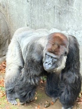 千葉市動物公園に投稿された画像（2025/11/25）