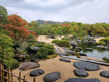 足立美術館に投稿された画像（2025/11/25）