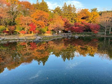 国営昭和記念公園 秋の夜散歩に投稿された画像（2025/11/25）