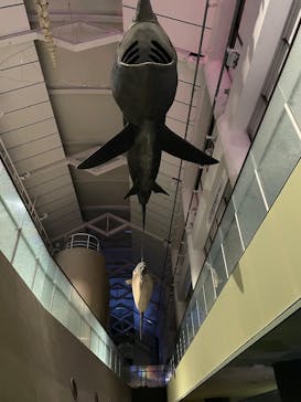 アクアワールド茨城県大洗水族館に投稿された画像（2025/11/25）