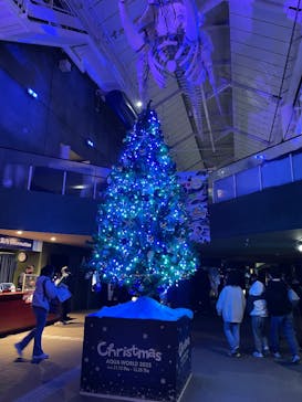 アクアワールド茨城県大洗水族館に投稿された画像（2025/11/25）