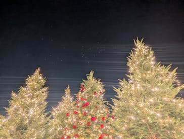 Christmas Market in 横浜赤レンガ倉庫 2025に投稿された画像（2025/11/25）