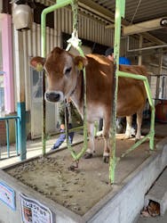 那須高原りんどう湖ファミリー牧場に投稿された画像（2025/11/25）