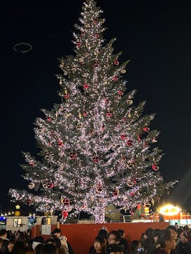 Christmas Market in 横浜赤レンガ倉庫 2025に投稿された画像（2025/11/25）