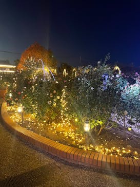 ひらかたパークに投稿された画像（2025/11/25）