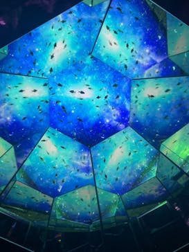 ひらかたパークに投稿された画像（2025/11/25）