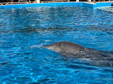 南知多ビーチランド＆南知多おもちゃ王国に投稿された画像（2025/11/25）