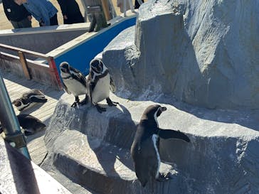 南知多ビーチランド＆南知多おもちゃ王国に投稿された画像（2025/11/25）