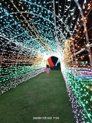 マザー牧場に投稿された画像（2025/11/25）