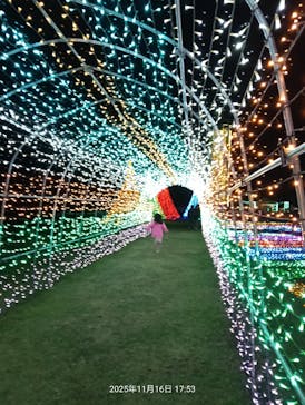 マザー牧場に投稿された画像（2025/11/25）