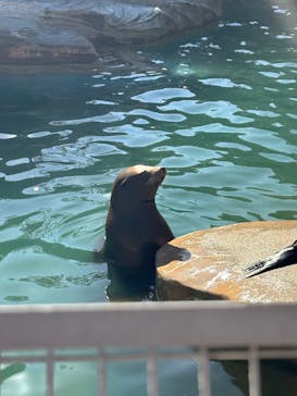 名古屋市東山動植物園に投稿された画像（2025/11/25）