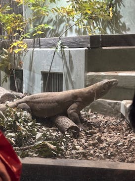 名古屋市東山動植物園に投稿された画像（2025/11/25）