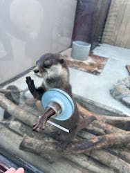 横浜・八景島シーパラダイスに投稿された画像（2025/11/25）