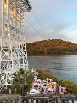 浜名湖パルパルに投稿された画像（2025/11/25）