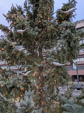 Christmas Market in 横浜赤レンガ倉庫 2025に投稿された画像（2025/11/25）