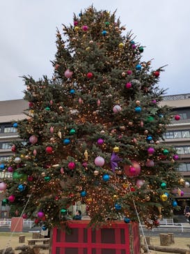 Christmas Market in 横浜赤レンガ倉庫 2025に投稿された画像（2025/11/25）