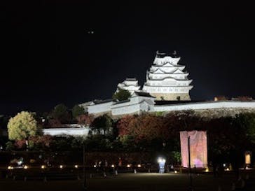 Himeji Castle of Light『DANDELION PROJECT 姫路城×NAKED, INC.』に投稿された画像（2025/11/25）
