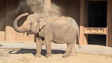 名古屋市東山動植物園に投稿された画像（2025/11/25）