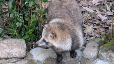 名古屋市東山動植物園に投稿された画像（2025/11/25）