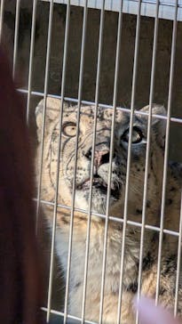 名古屋市東山動植物園に投稿された画像（2025/11/25）