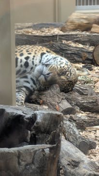 名古屋市東山動植物園に投稿された画像（2025/11/25）