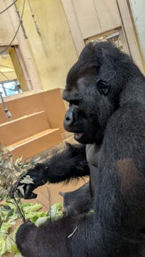 名古屋市東山動植物園に投稿された画像（2025/11/25）