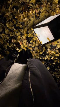 NAKED meets 二条城 2025 観月に投稿された画像（2025/11/25）