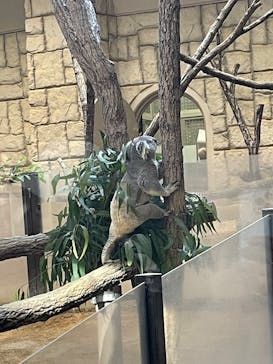 名古屋市東山動植物園に投稿された画像（2025/11/25）