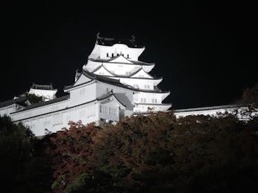 Himeji Castle of Light『DANDELION PROJECT 姫路城×NAKED, INC.』に投稿された画像（2025/11/25）
