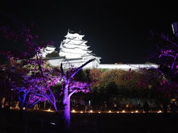 Himeji Castle of Light『DANDELION PROJECT 姫路城×NAKED, INC.』に投稿された画像（2025/11/25）