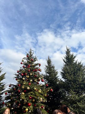 Christmas Market in 横浜赤レンガ倉庫 2025に投稿された画像（2025/11/25）