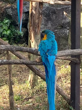 伊豆シャボテン動物公園に投稿された画像（2025/11/25）