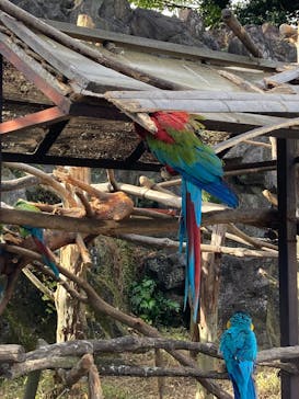 伊豆シャボテン動物公園に投稿された画像（2025/11/25）