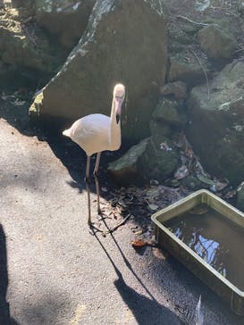 伊豆シャボテン動物公園に投稿された画像（2025/11/25）