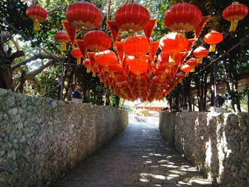 体験王国 むら咲むらに投稿された画像（2025/11/25）