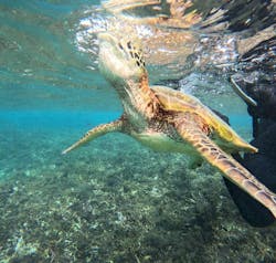 宮古島 ADVENTURE PiPi（ミヤコジマ アドベンチャー ピピ）に投稿された画像（2025/11/25）