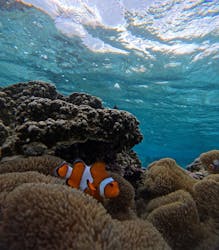 宮古島 ADVENTURE PiPi（ミヤコジマ アドベンチャー ピピ）に投稿された画像（2025/11/25）