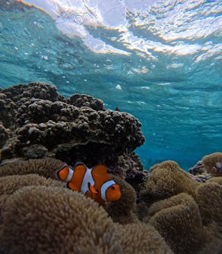 宮古島 ADVENTURE PiPi（ミヤコジマ アドベンチャー ピピ）に投稿された画像（2025/11/25）