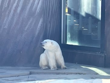 恩賜上野動物園に投稿された画像（2025/11/25）