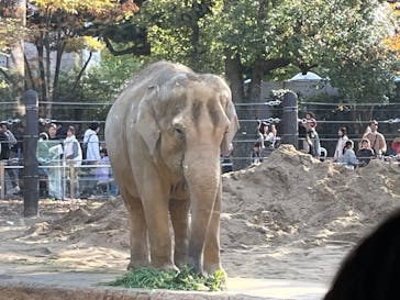 恩賜上野動物園に投稿された画像（2025/11/25）